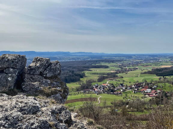 25-03-21 12-13-49 2478